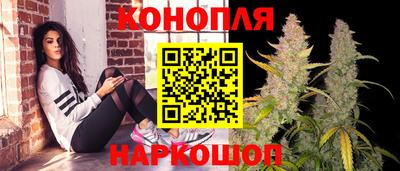 mdpv Заводоуковск